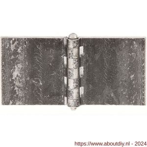 GAH Alberts scharnier breed staal ruw 80x160 mm - A51500513 - afbeelding 1