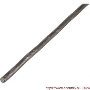 GAH Alberts ronde stang glad staal ruw warmgewalst draad diameter 10 mm 2 m - A51501297 - afbeelding 1