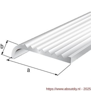 GAH Alberts trapbeschermingslijst aluminium zilver geeloxeerd 23x5x2,0 mm 2 m - A51501504 - afbeelding 2