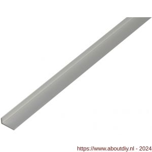 GAH Alberts kantbeschermingsprofiel aluminium zilver 19x8 mm 1 m - A51501610 - afbeelding 1