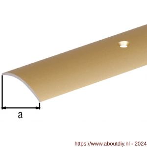 GAH Alberts overgangsprofiel PVC beige verzonken schroefgaten 30x0,9 mm - A51502001 - afbeelding 1