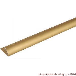 GAH Alberts afsluitprofiel afdeklijst aluminium goud geeloxeerd 24,5x13,5 mm 1 m - A51501924 - afbeelding 1