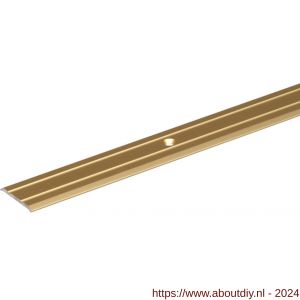 GAH Alberts overgangsprofiel voorgeboord aluminium goud geeloxeerd 38 mm 0,9 m SB - A51501566 - afbeelding 1