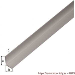 GAH Alberts hoekprofiel aluminium zilver geeloxeerd 19,8x17,8x1,8 mm 1 m - A51501103 - afbeelding 2