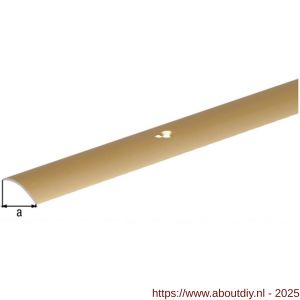 GAH Alberts overgangsprofiel staal messing 30 mm 0,9 m - A51501578 - afbeelding 2