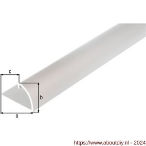 GAH Alberts afsluitprofiel afdeklijst aluminium zilver geeloxeerd 24,5x13,5 mm 1 m - A51501605 - afbeelding 2