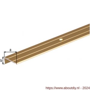 GAH Alberts trapbeschermingslijst aluminium goud geeloxeerd 24,5x10x1,5 mm 1 m - A51501520 - afbeelding 2