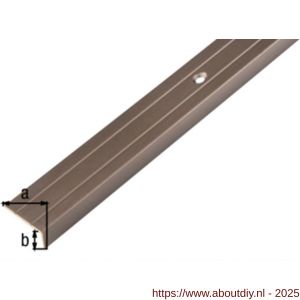 GAH Alberts trapbeschermingslijst aluminium brons geeloxeerd 24,5x10x1,5 mm 2 m - A51501527 - afbeelding 2