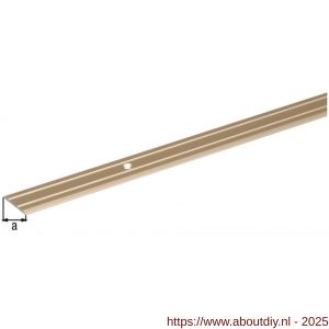 GAH Alberts overgangsprofiel aluminium goud verzonken schroefgaten 38 mm 2 m - A51501585 - afbeelding 2