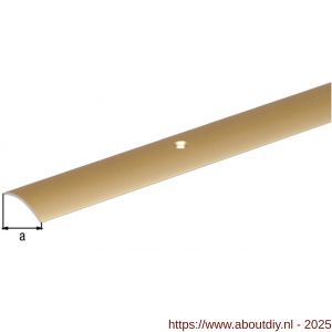GAH Alberts overgangsprofiel staal messing 30 mm 2 m - A51501590 - afbeelding 2
