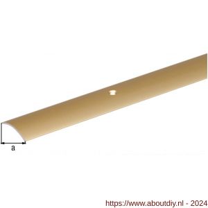 GAH Alberts overgangsprofiel staal messing 40 mm 2 m - A51501591 - afbeelding 2