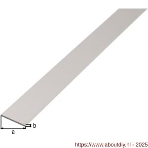 GAH Alberts platte stang aluminium zilver 30x2 mm 2,6 m - A51501202 - afbeelding 2