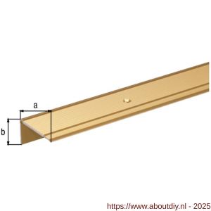 GAH Alberts trapbeschermingslijst aluminium goud geeloxeerd 45x23x2,7 mm 1 m - A51501533 - afbeelding 2