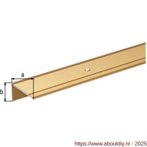 GAH Alberts trapbeschermingslijst aluminium goud geeloxeerd 45x23x2,7 mm 2 m - A51501536 - afbeelding 2