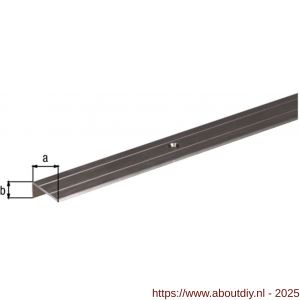 GAH Alberts trapbeschermingslijst geboord aluminium RVS geeloxeerd 24,5x10 mm 1 m SB - A51501508 - afbeelding 2