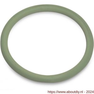 VDL O-ring viton 63 mm groen - A51060921 - afbeelding 1