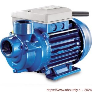 Foras centrifugaalpomp gietijzer 1 inch binnendraad 6 bar 230 V AC blauw type PE50FM - A51050966 - afbeelding 1