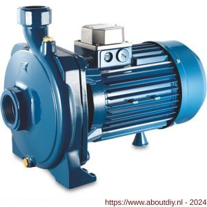 Foras centrifugaalpomp gietijzer 2 inch x 1.1/4 inch binnendraad 400-690 V blauw type KM 400/1 T - A51050939 - afbeelding 1