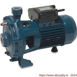 Foras centrifugaalpomp gietijzer 1.1/2 inch x 1.1/4 inch binnendraad 400-690 V blauw type KB 550 T - A51050935 - afbeelding 1
