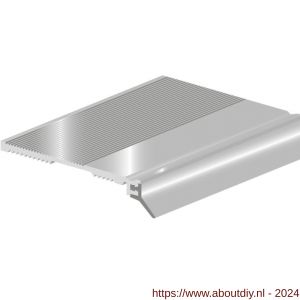 Ellen tochtprofiel slijtdorpel opbouw aluminium ANB-7 AR 100 cm onverpakt - A51010236 - afbeelding 1