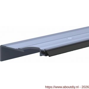 Ellen slijtdorpel profiel Threshold Seal R6 100 cm - A51010348 - afbeelding 1