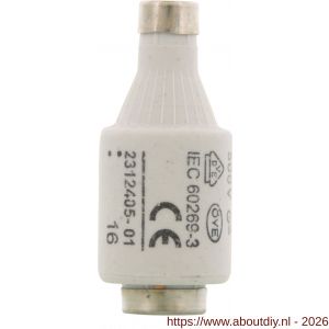 Q-Link zekering traag overspanning en kortsluiting GG 16 A set 5 stuks 416611025 - A50400973 - afbeelding 3