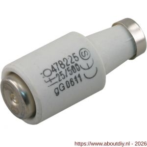 Q-Link zekering traag overspanning en kortsluiting GG 25 A DII wit set 5 stuks - A50400974 - afbeelding 1