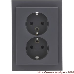 Berker K1 contactdoos inbouw 2-voudig randaarde antraciet - A50402256 - afbeelding 2