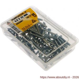 Deltafix spaanplaatschroef cilinderkop kruiskop verzinkt 4.0x30 mm kuipje 100 stuks - A21902067 - afbeelding 1