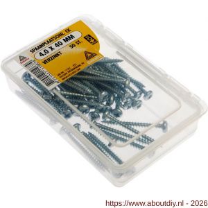 Deltafix spaanplaatschroef cilinderkop kruiskop verzinkt 4.0x40 mm kuipje 50 stuks - A21902072 - afbeelding 1