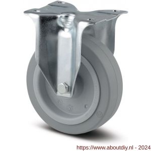 Tente bokwiel grijs 100 mm maximaal 160 kg - A21904941 - afbeelding 1