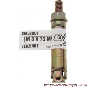 Deltafix keilbout met moer verzinkt M6x100x40 mm - A21900597 - afbeelding 1
