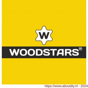 Woodstars schotelkopschroef hi-speed verzinkt 8.0x220/100 mm doos 50 stuks - A21901422 - afbeelding 2