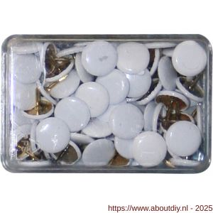 QlinQ punaise wit set 100 stuks - A40850222 - afbeelding 1