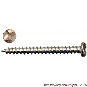 QlinQ anti-inbraakschroef 4x40 mm verzinkt set 12 stuks - A40850106 - afbeelding 2