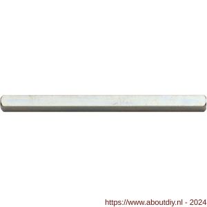 QlinQ deurkrukstift 8x100 mm verzinkt - A40850703 - afbeelding 1