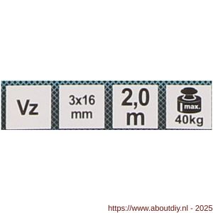 QlinQ voetketting 16x3 mm verzinkt 2 m - A40850392 - afbeelding 2