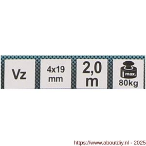 QlinQ voetketting 19x4 mm verzinkt 2 m - A40850394 - afbeelding 2