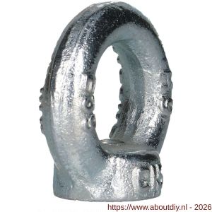 QlinQ oogmoer DIN 582 M6 verzinkt - A40850082 - afbeelding 2