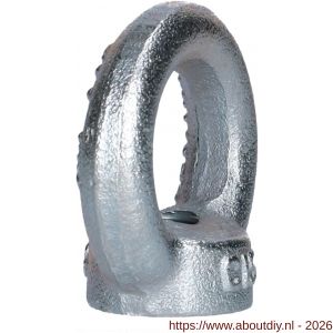 QlinQ oogmoer DIN 582 M8 verzinkt - A40850083 - afbeelding 2