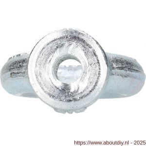 QlinQ oogmoer DIN 582 M10 verzinkt - A40850084 - afbeelding 2