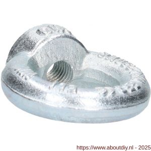 QlinQ oogmoer DIN 582 M10 verzinkt - A40850084 - afbeelding 6