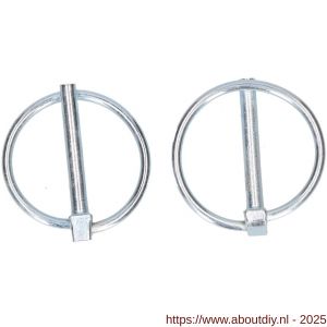 QlinQ borgpen met ring 4.5 mm verzinkt set 2 stuks - A40850092 - afbeelding 2
