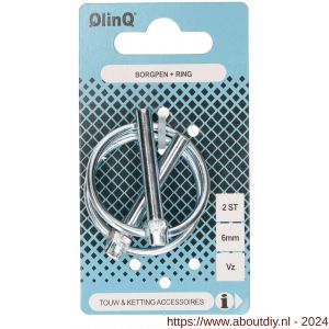QlinQ borgpen met ring 6 mm verzinkt set 2 stuks - A40850093 - afbeelding 1