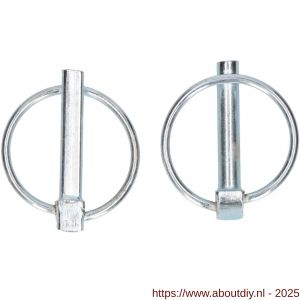 QlinQ borgpen met ring 6 mm verzinkt set 2 stuks - A40850093 - afbeelding 2
