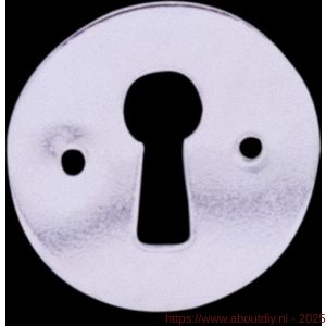 QlinQ sleutelplaat rond 28 mm vernikkeld - A40850791 - afbeelding 1