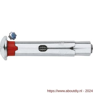 Index CH-INB krachtkeilanker met antidiefstalbout M8x60 mm diameter 10 mm verzinkt - A40900393 - afbeelding 1