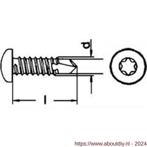 ASF boorschroef DIN 7504M 4,2x19 mm bolcilinderkop Torx T 20 RVS A2 - A40823978 - afbeelding 2