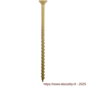 Woodies Ultimate Shield Outdoor 5,0x100/60 mm verzonken kop VK Torx T 25 - A40800445 - afbeelding 1
