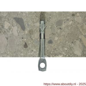 FM TW plafondanker 6x60 mm verzinkt - A40885150 - afbeelding 2